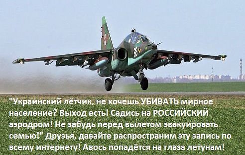 [Зображення: 34076305927026805371.jpg]