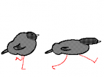 01655129324130322687.gif