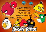 03762355348224642000.jpg