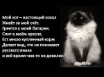 05191172640520022543.jpg