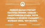 05659538124742492593.jpg