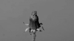 06796544119646194040.gif