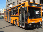 07796418842802759947.jpg