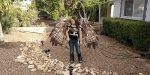 09205002143574035548.gif