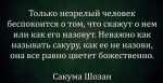 09358535770651816646.jpg