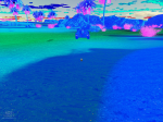 13225120052137588124.jpg