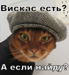 13612601503734974771.jpg