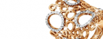15449049736335856020.gif