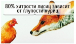 17771050534030708007.jpg