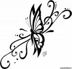 19108845598163566992.jpg