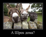 20150274362417656586.jpg