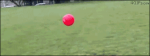 21044340373143556958.gif