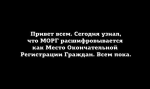 22396439608456942007.jpg