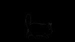 22452877208112830307.gif
