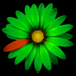 27816925601909401350.png