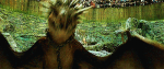 28541209746833188579.gif