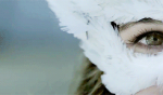 30138050788523554234.gif