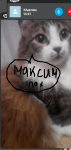 30742178572671039410.png