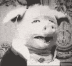 31266253208131492003.gif