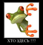 32739268175952023284.jpg