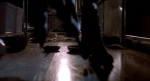 34226866535265713275.gif
