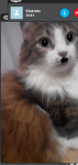 35830219041107174971.png