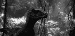 37406560413324168098.gif