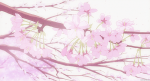 38068464168276594711.gif