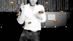 39772503926651452934.gif