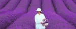 41936646729220276695.gif