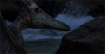 46099271299187166814.gif
