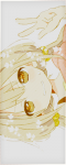 46713347717181206906.png