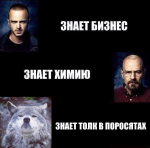 48761981095955381050.jpg