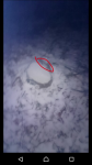 51342995971472493968.png