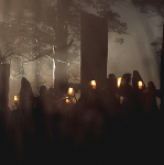 52021070259941129787.gif