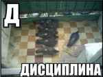 52097479352241828107.png