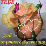 60178078437328352235.jpg