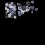 61570851389936627504.png