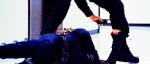 65964595409510437861.gif