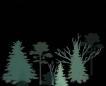 67199736852571957260.png