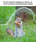 67537753596565325690.jpg