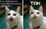 70931906726259490623.jpeg