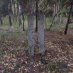 74143889593165691897.jpg