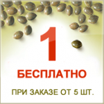 75418677974339976996.gif