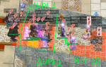 79661271827515044216.png