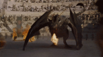 80204045275437901804.gif