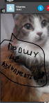 81411178382298806300.png