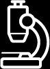 81604081765904089099.png