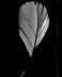 82821464230690832061.png