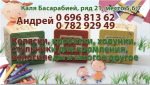 85013020982901841876.jpg